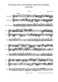 Triosonate in g moll für zwei Traversflöten und Viola da Gambe
