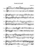 Sonata for 2 travers flutes in b minor