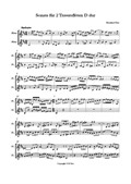 Sonate für 2 Traversflöten in D dur
